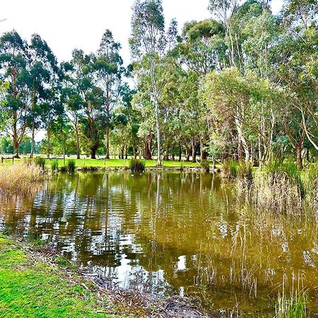 Grampians Chalets Halls Gap Exteriör bild
