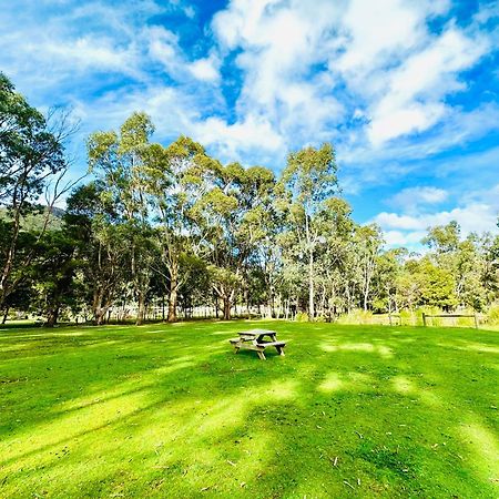 Grampians Chalets Halls Gap Exteriör bild