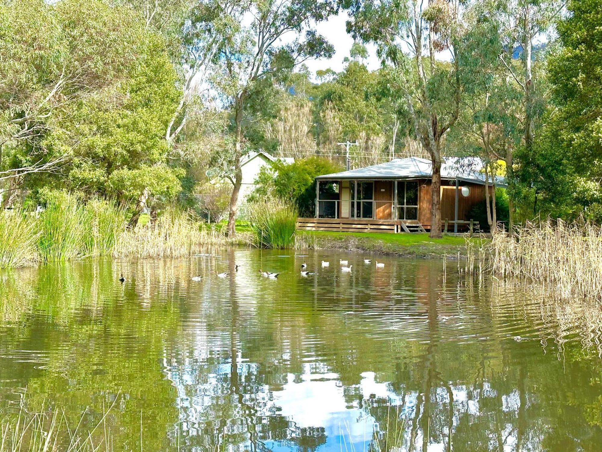 Grampians Chalets Halls Gap Exteriör bild