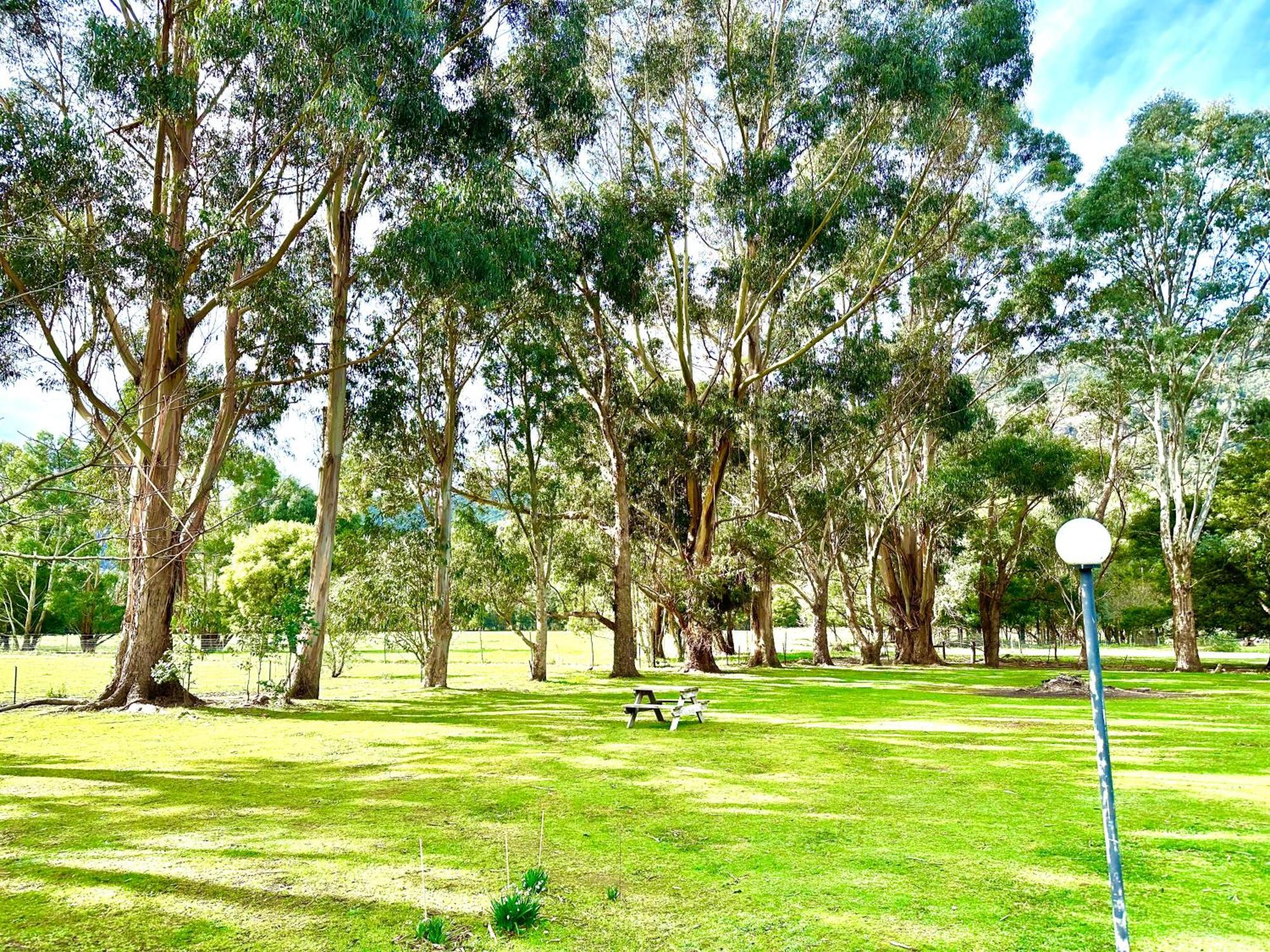 Grampians Chalets Halls Gap Exteriör bild